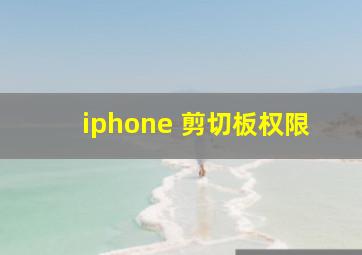 iphone 剪切板权限